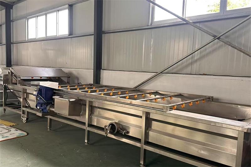 根茎叶蔬菜清洗设备