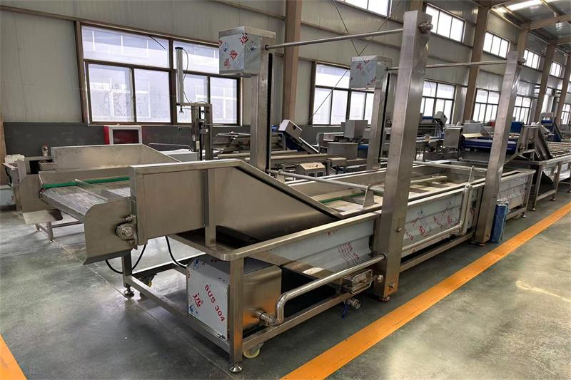 连续式果蔬清洗机