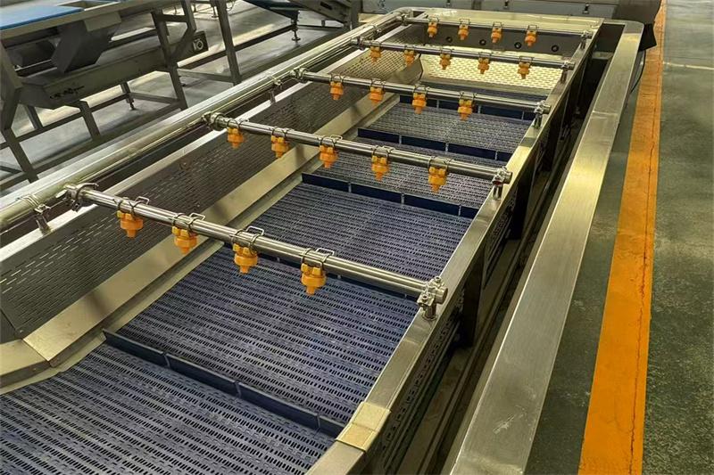 净菜加工清洗成套流水线