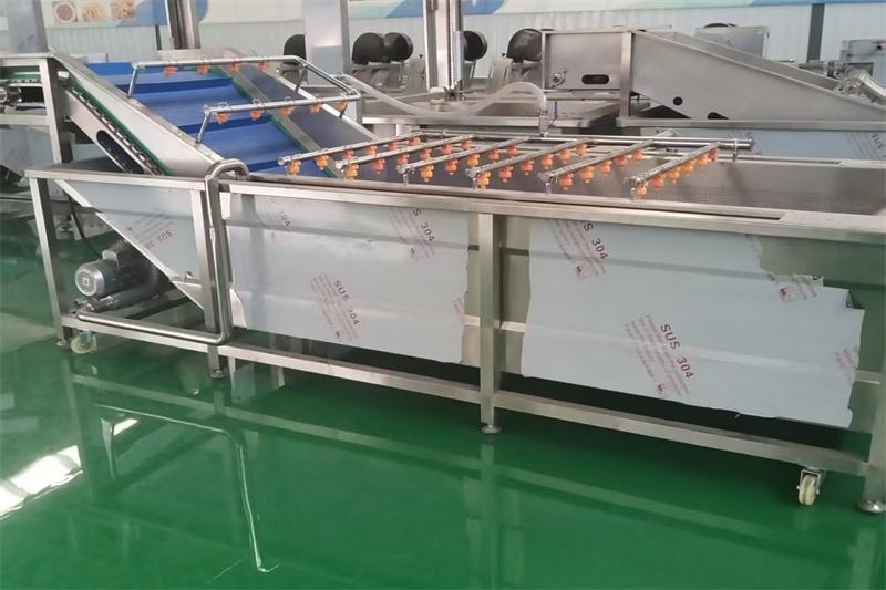 全自动喷淋式果蔬气泡清洗机